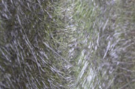 Yorton fibreglass roof work